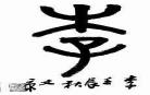 桃李不言gl无防盗